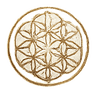 HealStete Logo